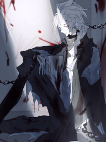 今日看料网页版